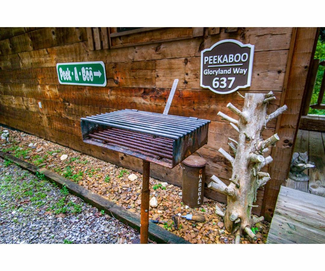Peekaboo With Hot Tub, Pool Table, And Jacuzzi Villa Пиджен Фордж Екстериор снимка